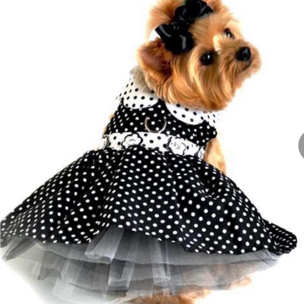 Polka Dot Dog Dress with matching leash